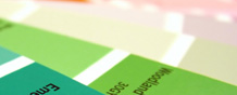 Prepayment Levels